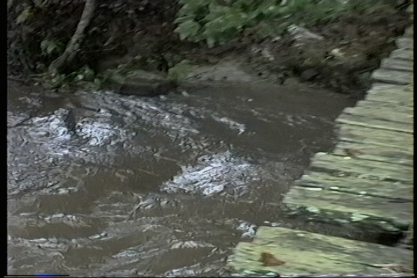 Some Warwoman Creek Footage (tributary of Section 3 Chattooga)